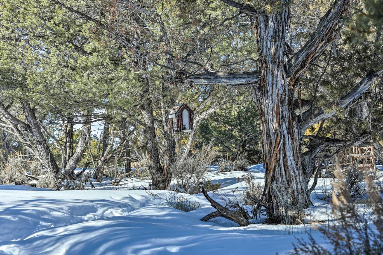 Vila Eagles Landing A Quiet Colorado Mountain Escape Exteriér fotografie